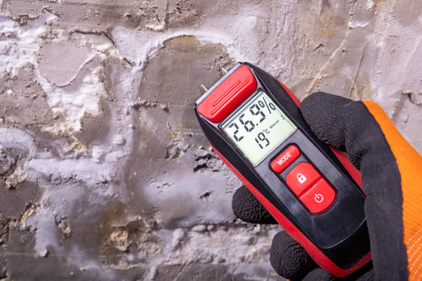 Kennesaw, GA Mold Removal Company