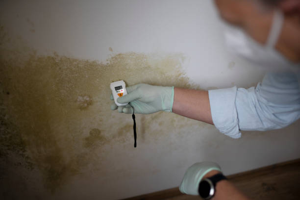 Best Residential Mold Removal  in Kennesaw, GA