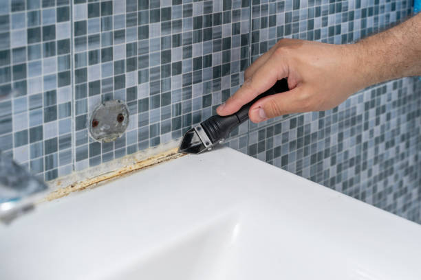 Best Local Mold Removal Service  in Kennesaw, GA